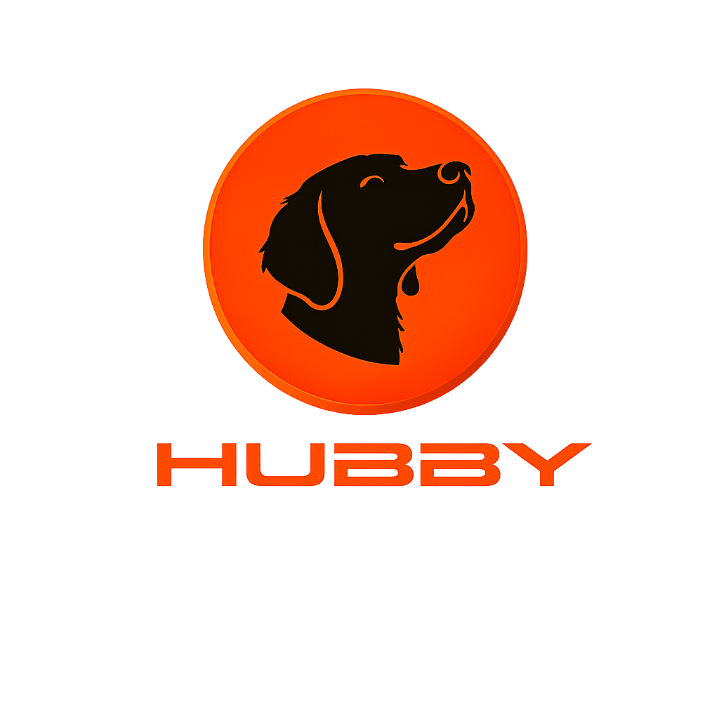 HUBBY-logotyp